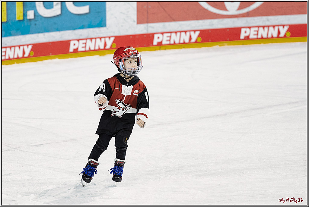PENNY DEL;  Koelner Haie - Iserlohn Roosters; Koeln, 20.02.2022